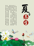 四季养生—夏季篇听书网