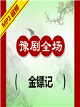 金镖记听书网