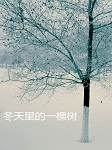 冬天里的一棵树听书网