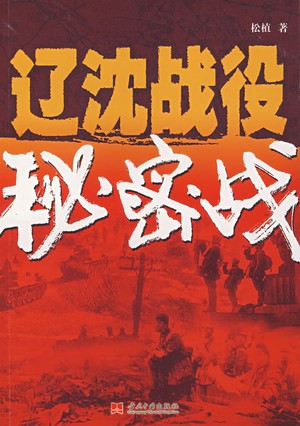 辽沈战役秘密战听书网