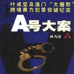 A号大案听书网