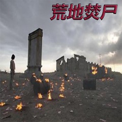 刑警803系列荒地焚尸听书网