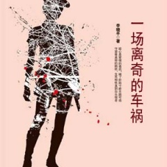 一场离奇的车祸听书网
