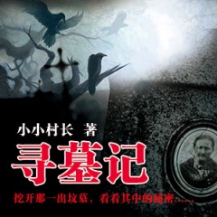 寻墓记听书网