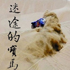 迷途的宝马听书网