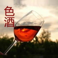 色酒听书网