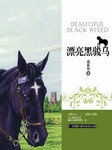 漂亮黑骏马听书网