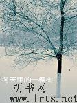冬天里的一棵树听书网
