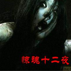 惊魂十二夜听书网