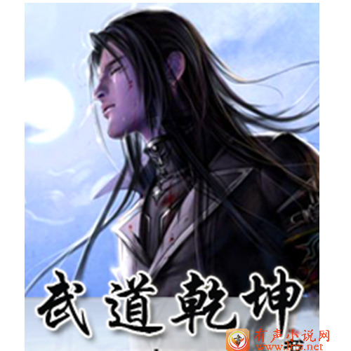 武道乾坤——第二辑听书网