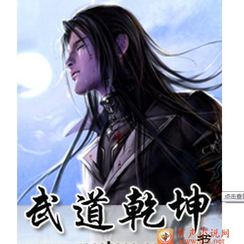 武道乾坤——第一辑听书网