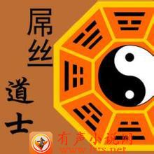 《屌丝道士【直播版】（饭饭）》听书网