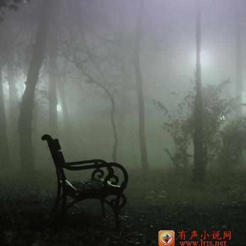 短篇鬼故事4 播讲：叶白白听书网