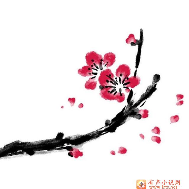 梅花档之阁楼听书网