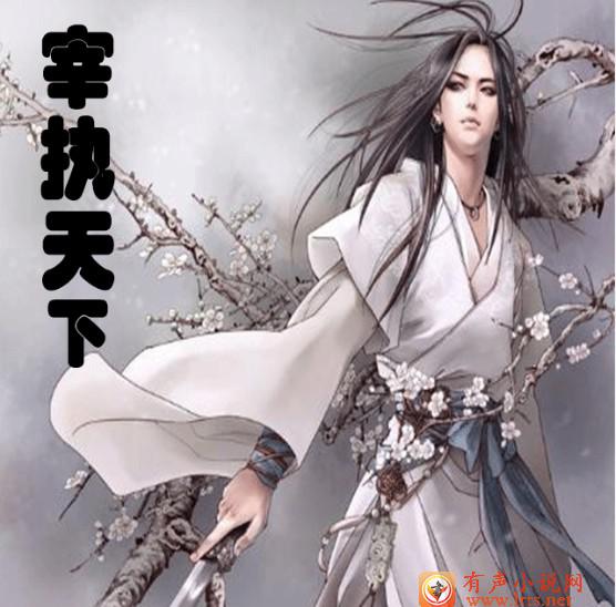 宰执天下第二辑（201——400集）听书网