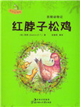 西顿动物记——红脖子松鸡听书网