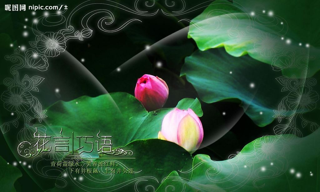 夕月的声音听书网