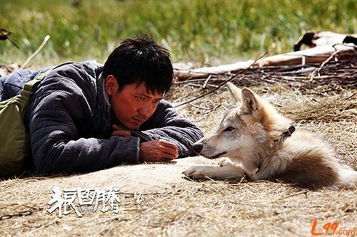 狼图腾——有声小说听书网