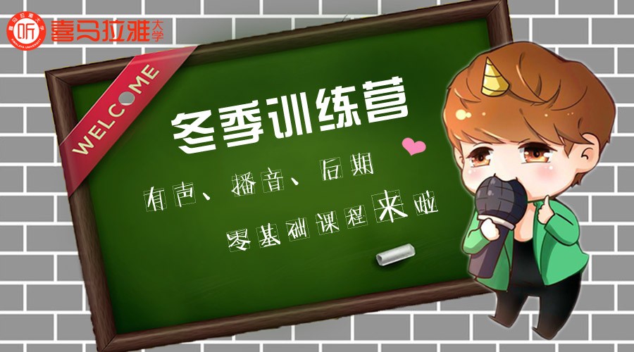 零基础入门课程听书网