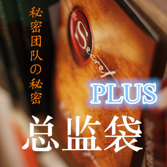 秘密团队·总监袋（PLUS）听书网