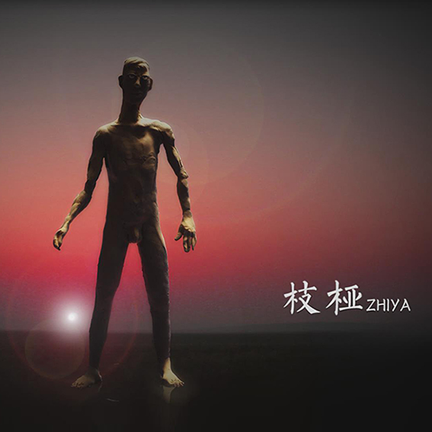 枝桠听书网