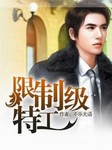 限制级特工听书网