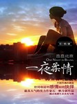 恋恋北京一夜柔情听书网