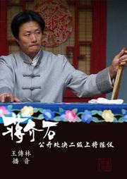 蒋介石公开处决二级上将陈仪听书网