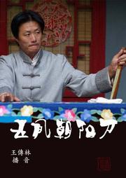 五凤朝阳刀听书网