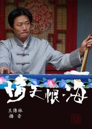 情天恨海听书网