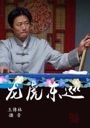 龙虎东巡听书网