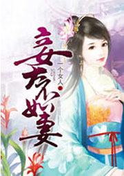 妾大不如妻听书网