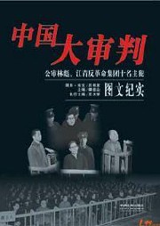 中国大审判听书网