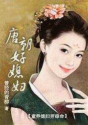 唐朝好媳妇听书网