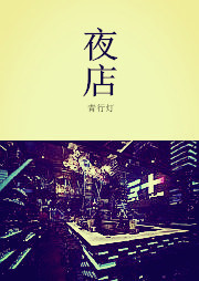 夜店听书网