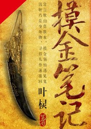 摸金笔记听书网