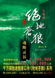 绝地苍狼（四）：魂断灵谷听书网