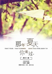 那年夏天你来过听书网