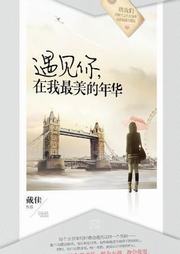 遇见你，在我最美的年华听书网