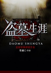 盗墓生涯听书网