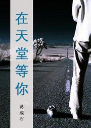 在天堂等你听书网