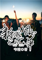 新城已无旧少年听书网