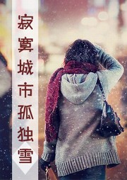 寂寞城市孤独雪听书网