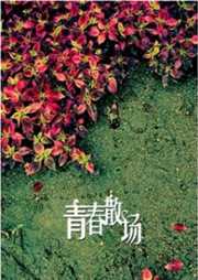 看见青春散场听书网