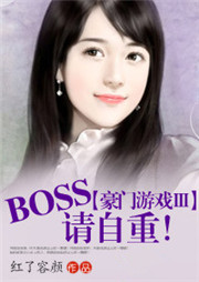 BOSS，请自重听书网