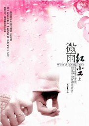 微雨红尘（上部）听书网