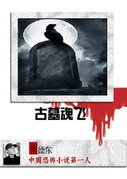 古墓魂飞听书网