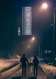 兄弟在北京听书网