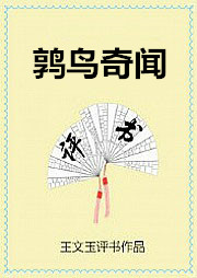 鹑鸟奇闻听书网