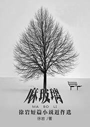 麻玻璃：徐岩短篇小说近作选听书网